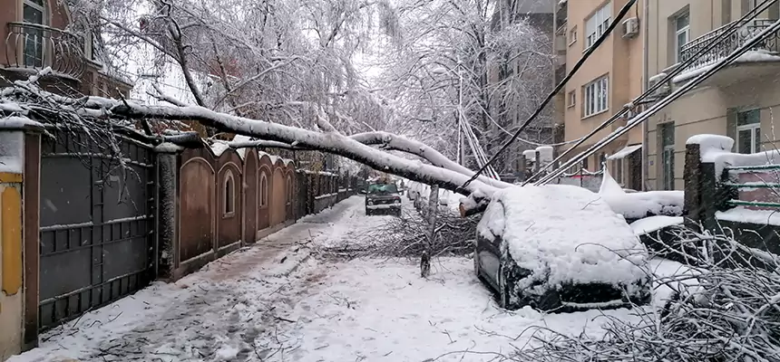 Winter Storm Damage Repair in Crown
