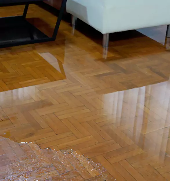 Trusted Emergency Water Restoration Company in Crown, CA