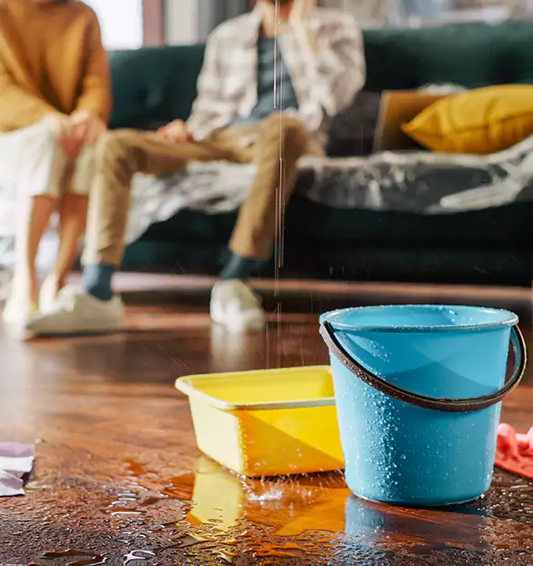 Trusted Water Restoration Company in Crown, CA