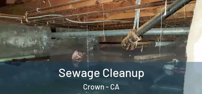  Sewage Cleanup Crown - CA