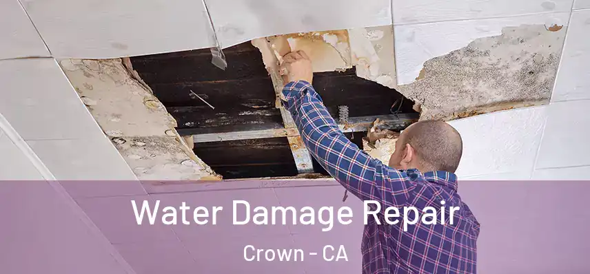  Water Damage Repair Crown - CA